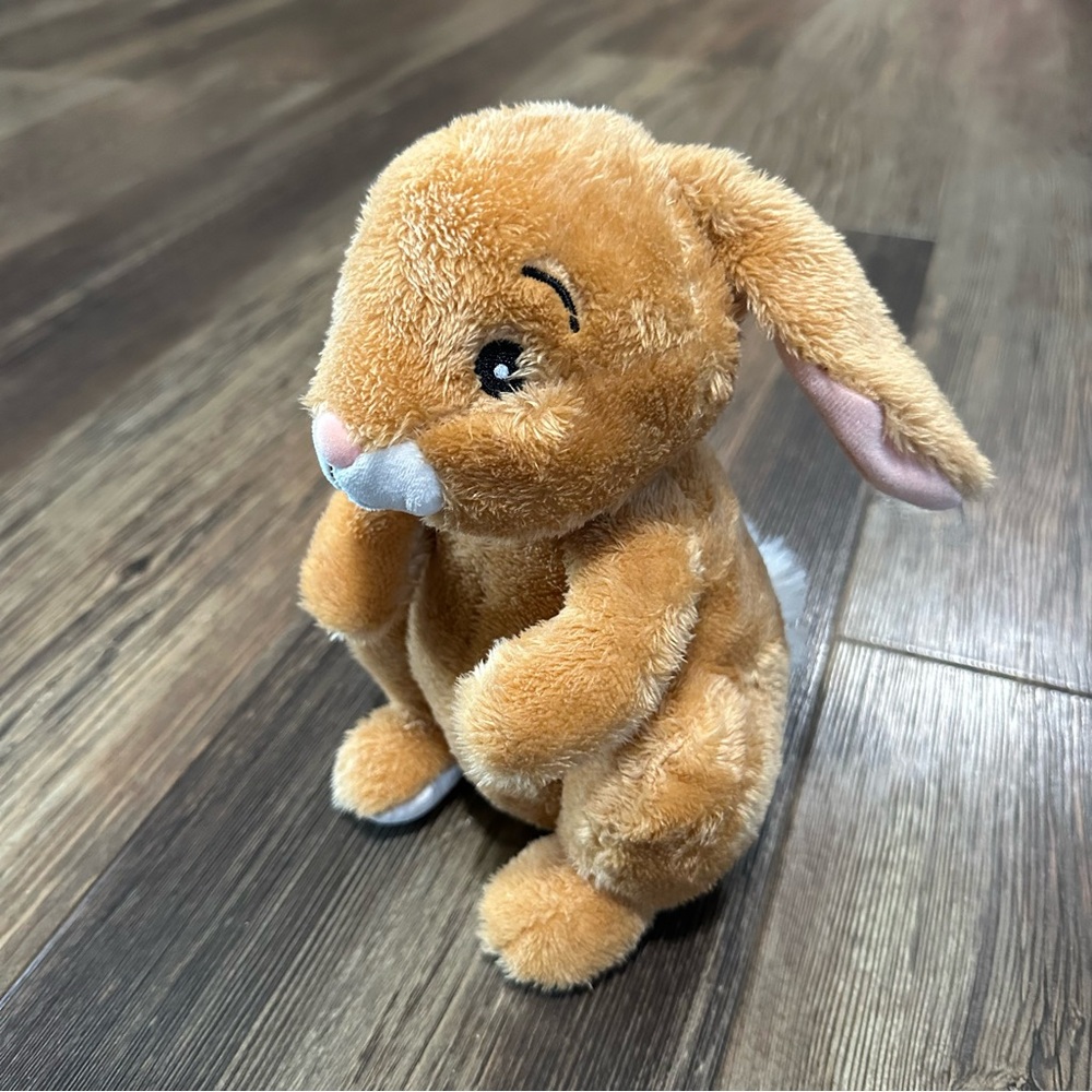 The littlest bunny storybook Easter rabbit KOHLS CARES 2018 cuddly plush